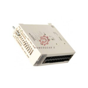 BMXDRA1605 Schneider Modicon X80 Relay Output Module | 16-Channel